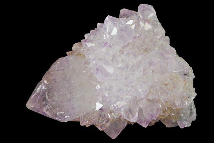 Cactus Quartz (Amethyst) Crystal - South Africa #132451